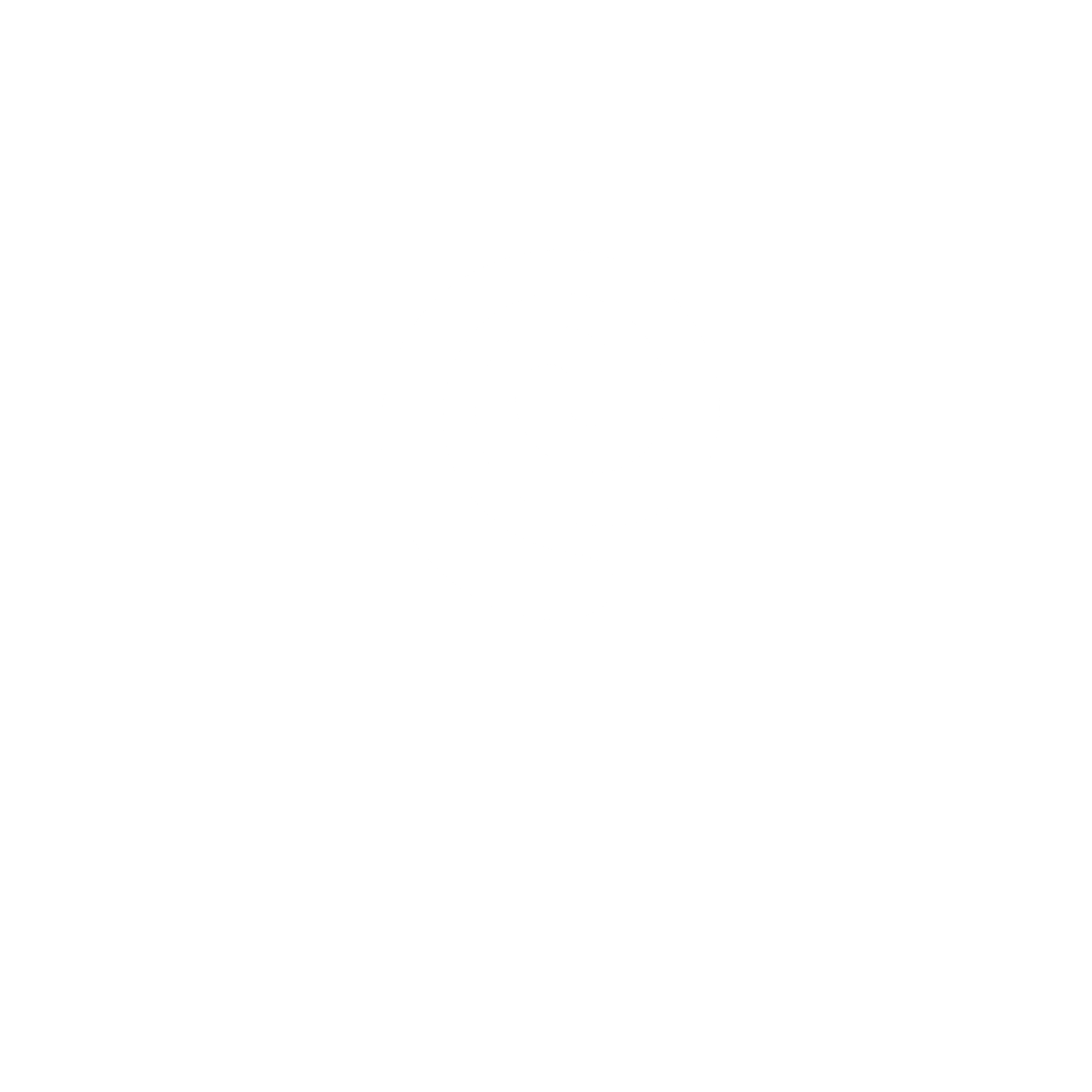 Logo Nyx Studio